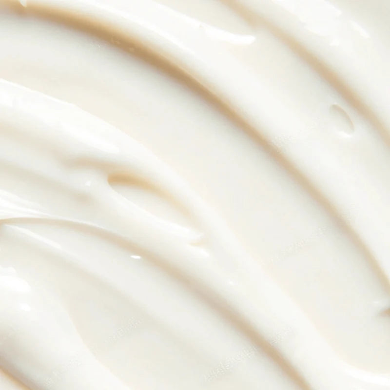 Beauty Of Earth | Self Tanner Lotion